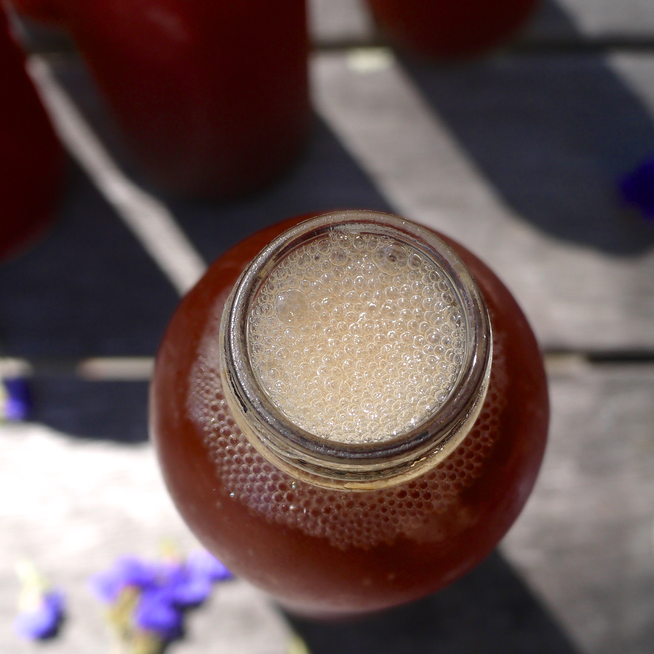 How to Brew Kombucha at Home what great grandma ate