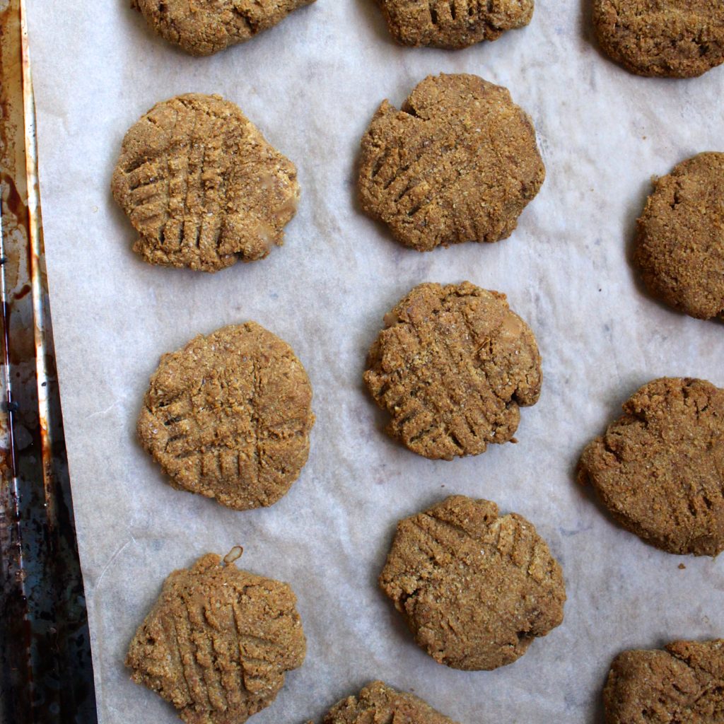 paleo ginger snaps