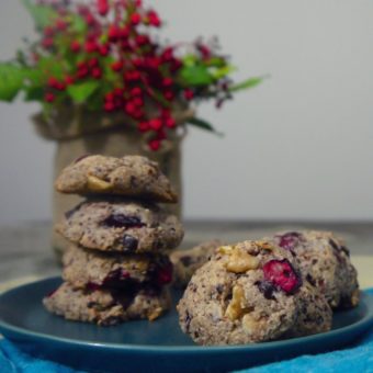 Cranberry Chocolate Chip Cookies (Paleo, Egg-free)