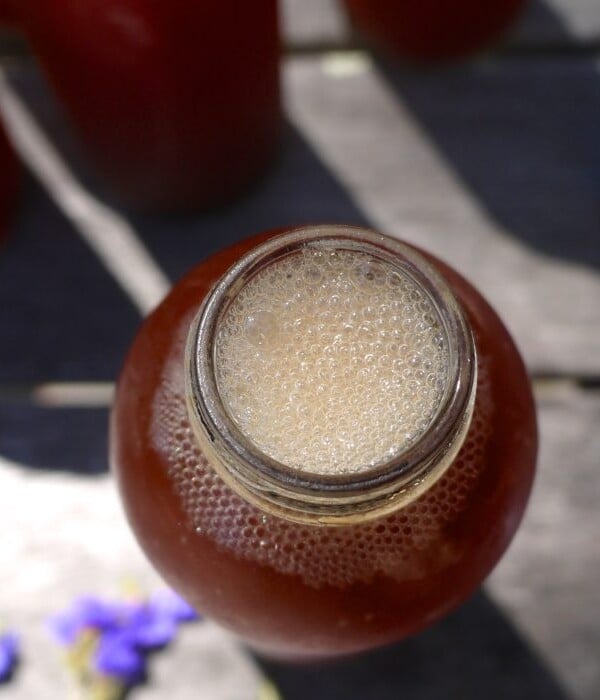 homemade kombucha