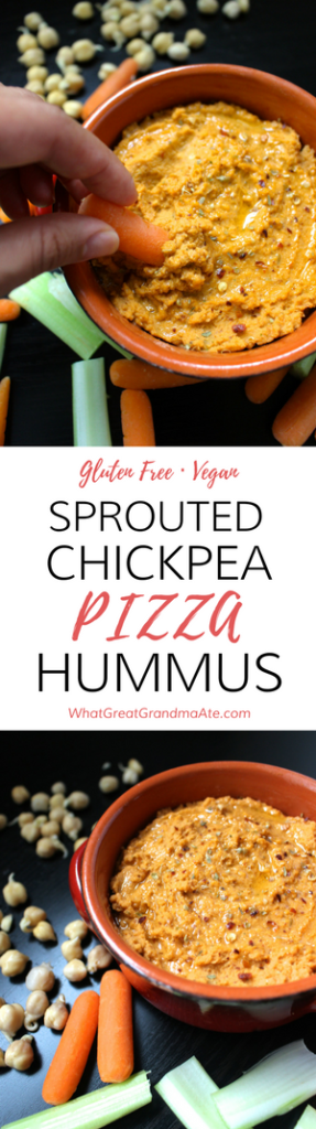 Gluten Free Vegan Sprouted Chickpea Pizza Hummus