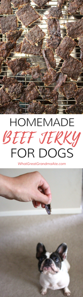 Homemade dog outlet jerky