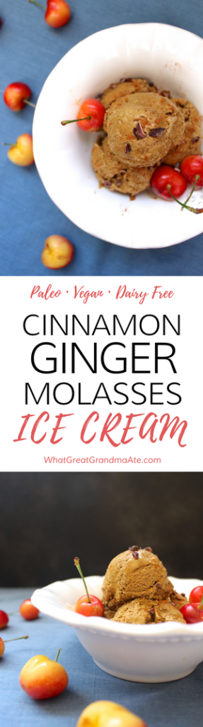 Paleo Dairy Free Vegan Cinnamon Ginger Molasses Ice Cream