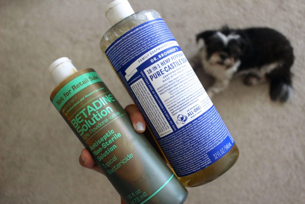 5 All Natural Flea Remedies For Dogs That Work