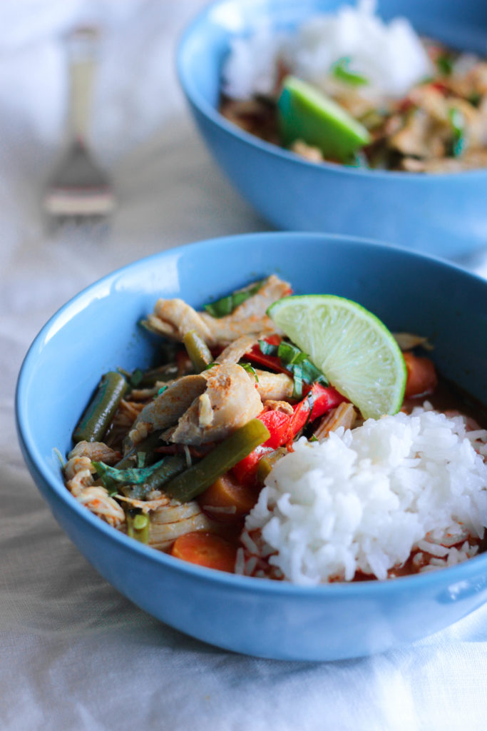 Paleo Coconut Chicken Curry Instant Pot Slow Cooker