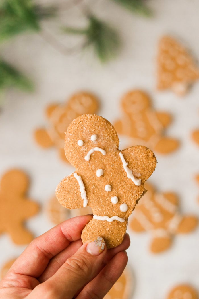Paleo Nut Free Gingerbread Cookies (AIPFriendly, VeganOption) What Great Grandma Ate