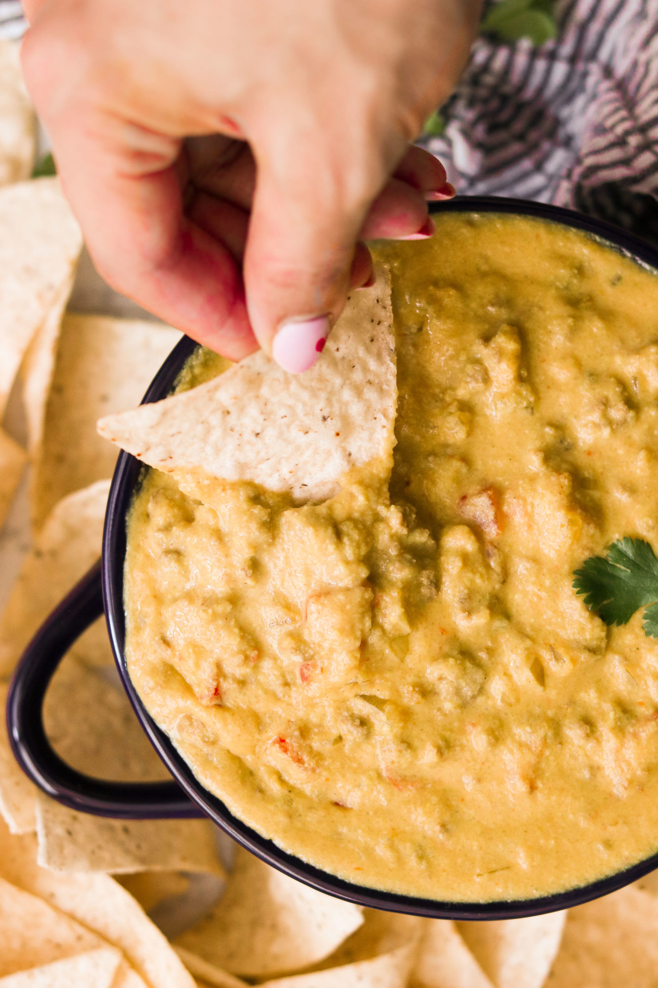 Dairy Free Queso Dip with Ground Beef (Paleo, Whole30, Keto) What