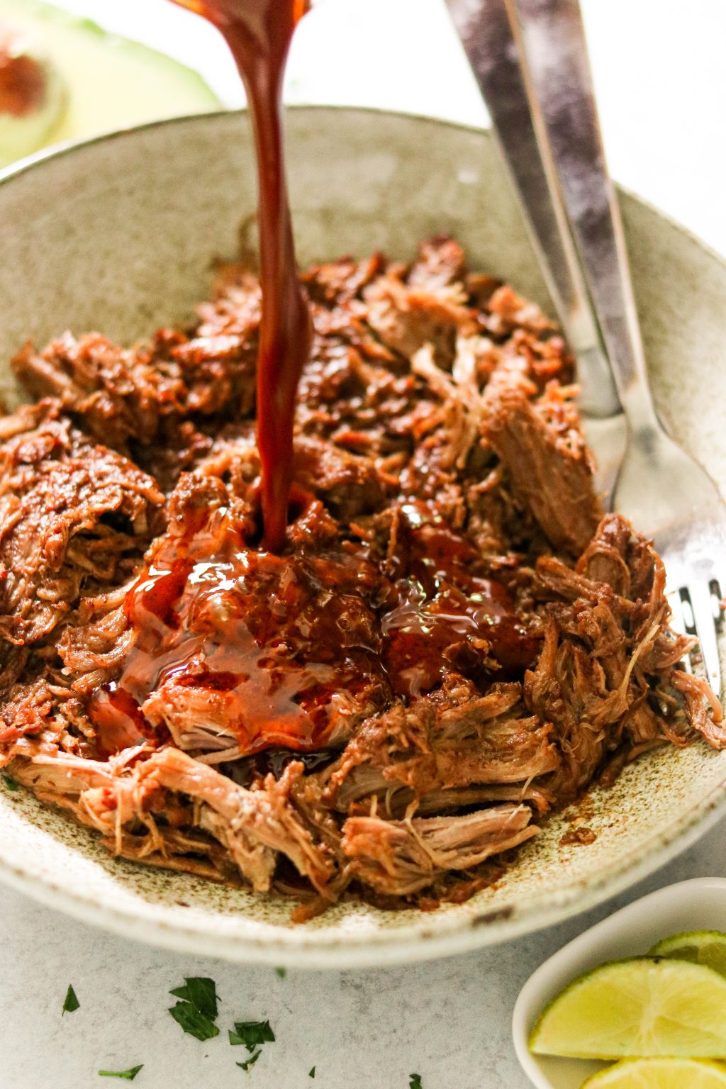 Instant Pot Pulled Pork Mole (Paleo, Whole30) – What Great Grandma Ate