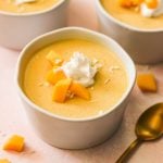 paleo coconut mango pudding