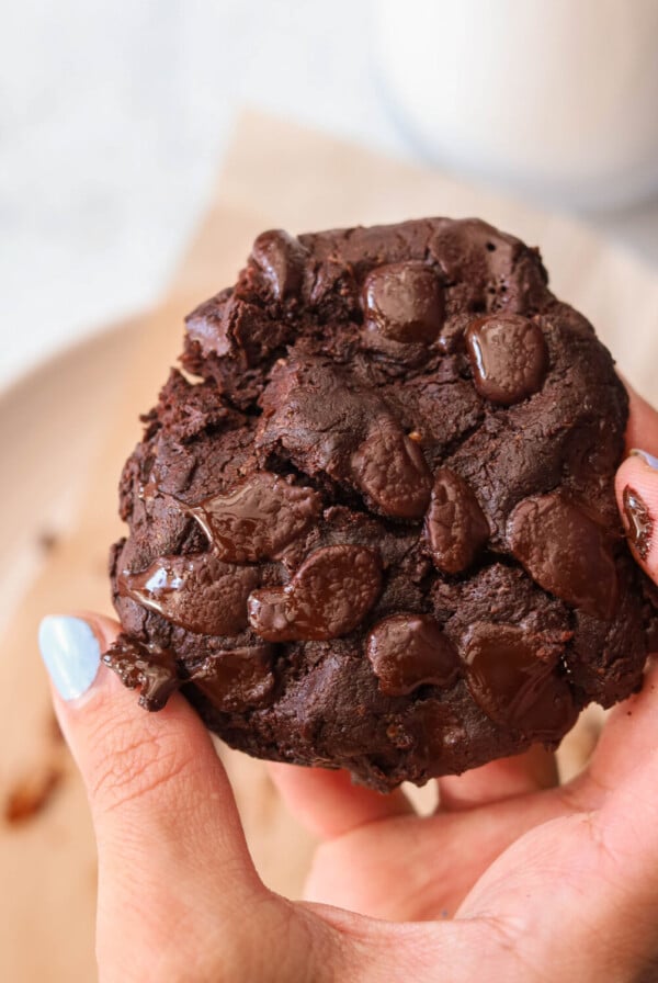 double chocolate chip cookie