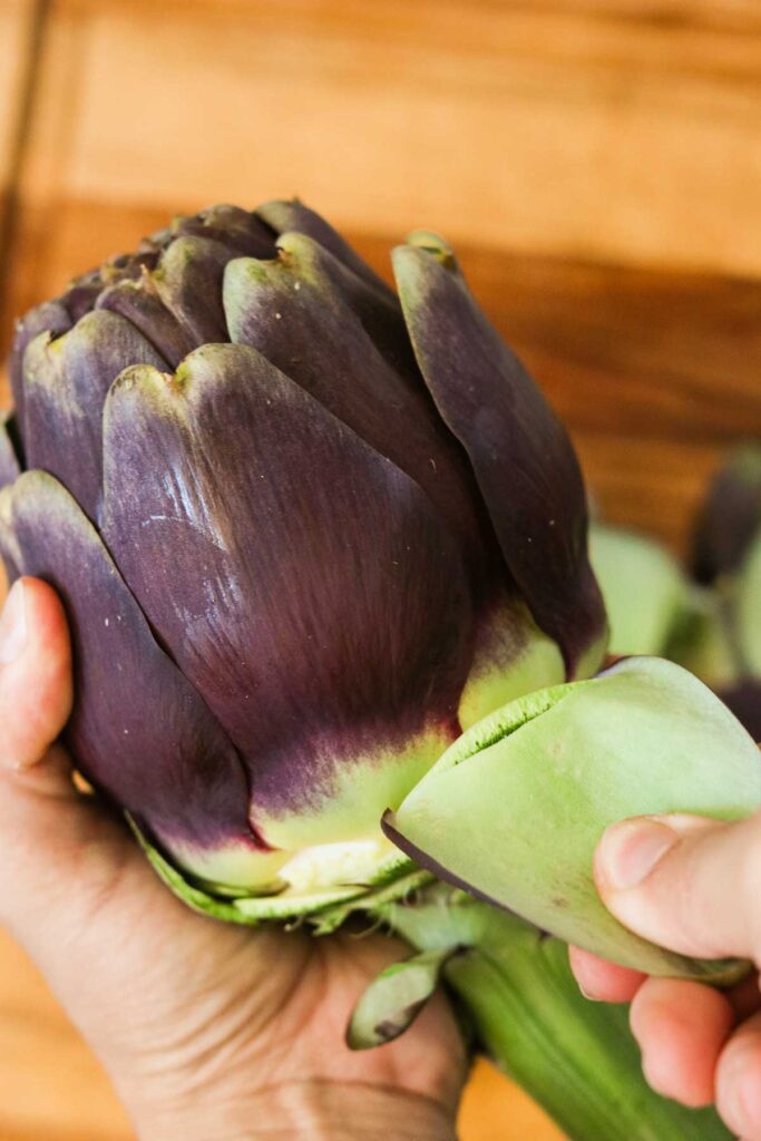 Removing the outer leaf of an artichoke
