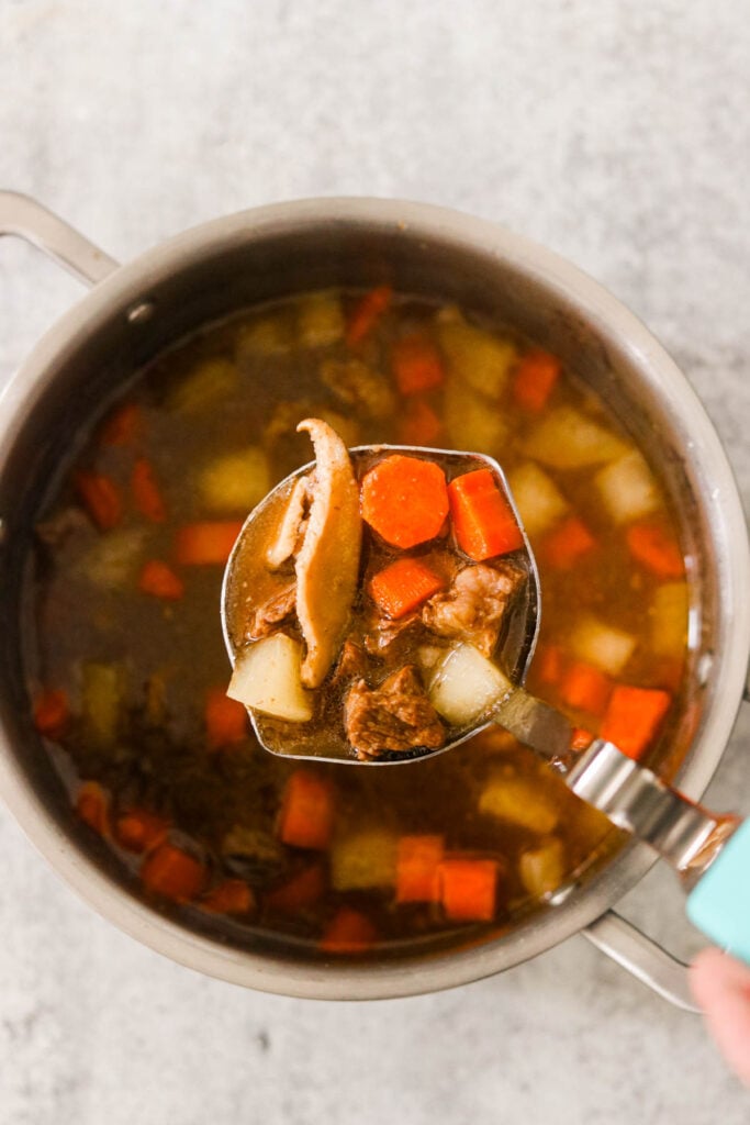 Ladle scooping out a serving of tender Asian beef stew with carrots and radish in a savory broth.