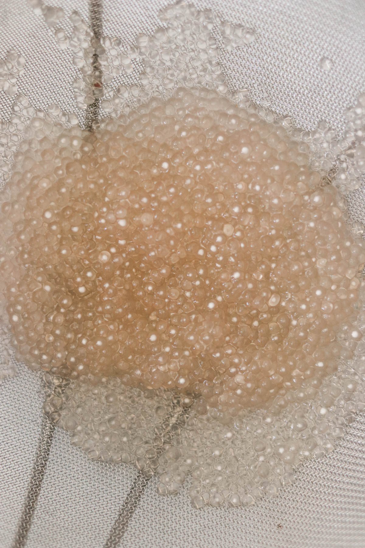 Cooked tapioca pearls in a strainer.