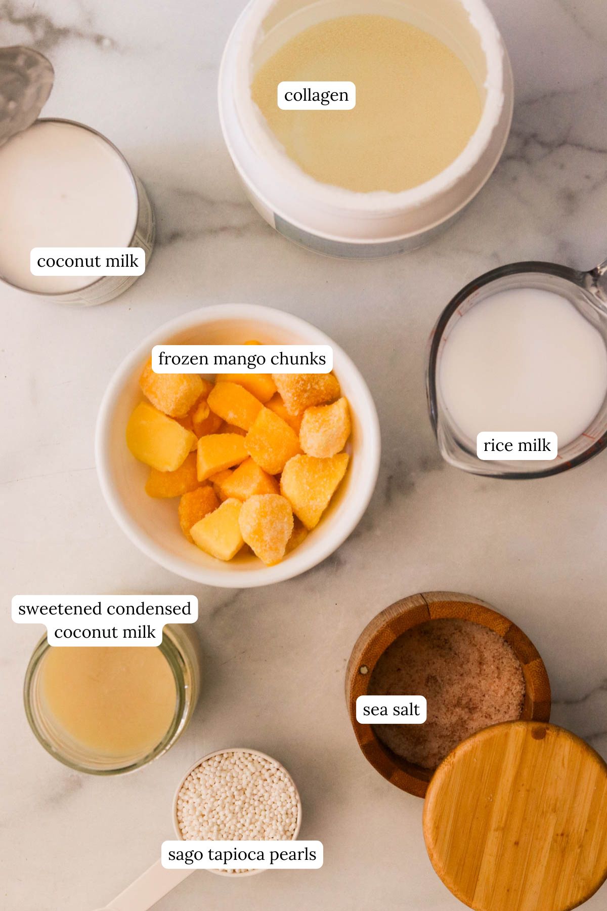 Overhead view of mango sticky rice smoothie ingredients on a light colored countertop.