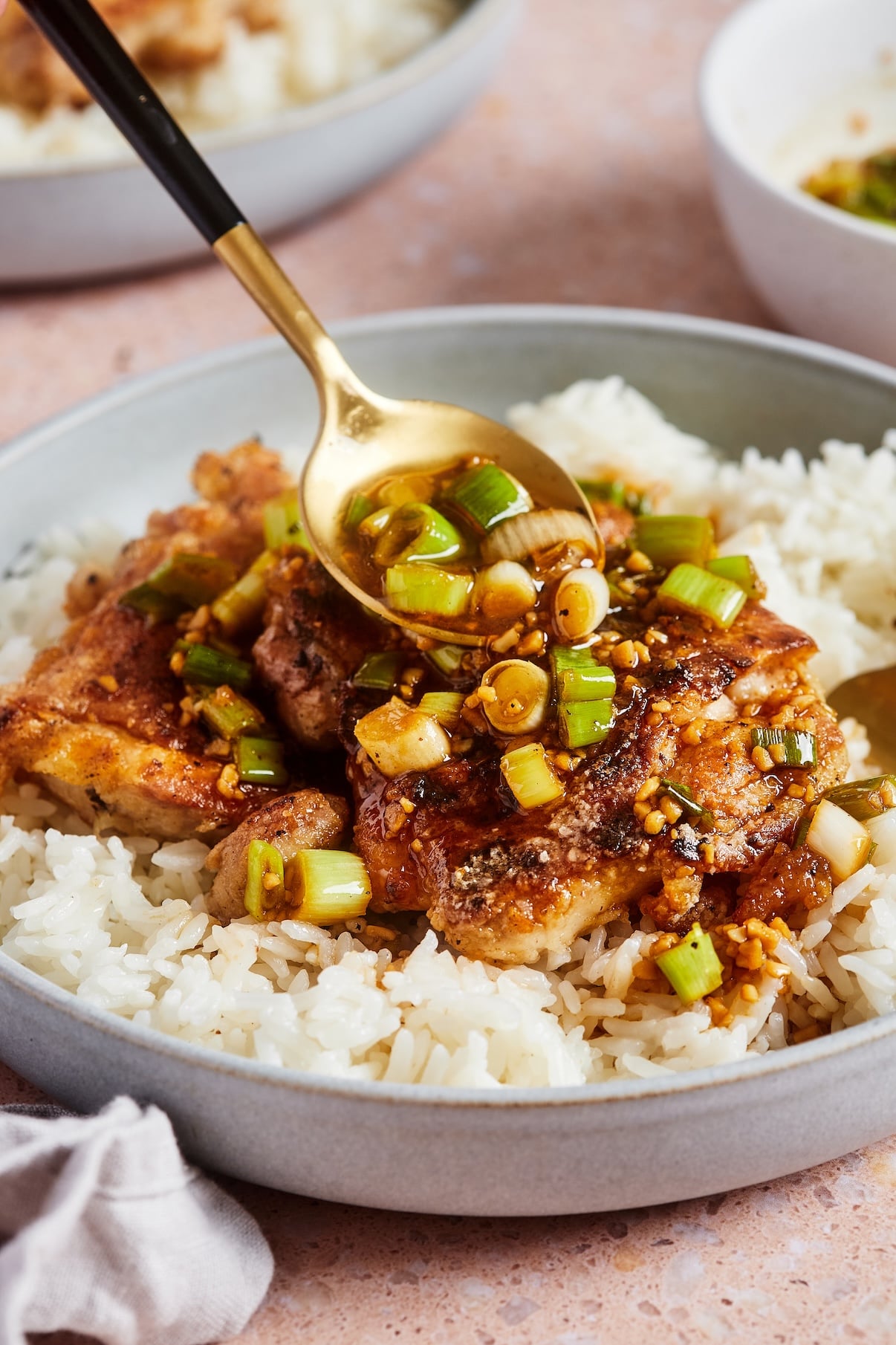 Close-up of a bowl of rice topped with crispy scallion chicken and the savory scallion sauce.